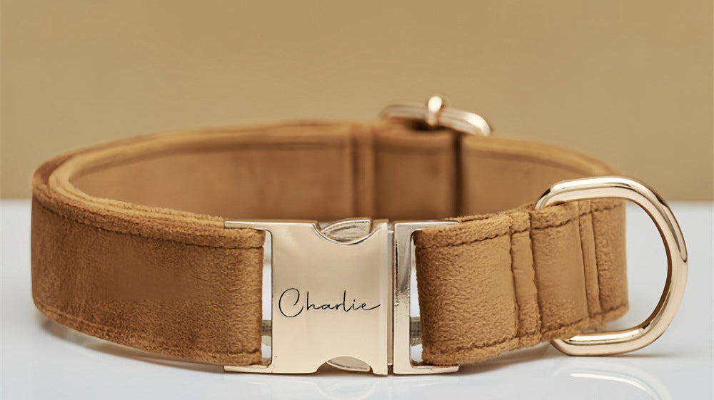 Personalised Dog Collars Ireland — Comfort Meets Customisation for Your Pet (2025 Guide)