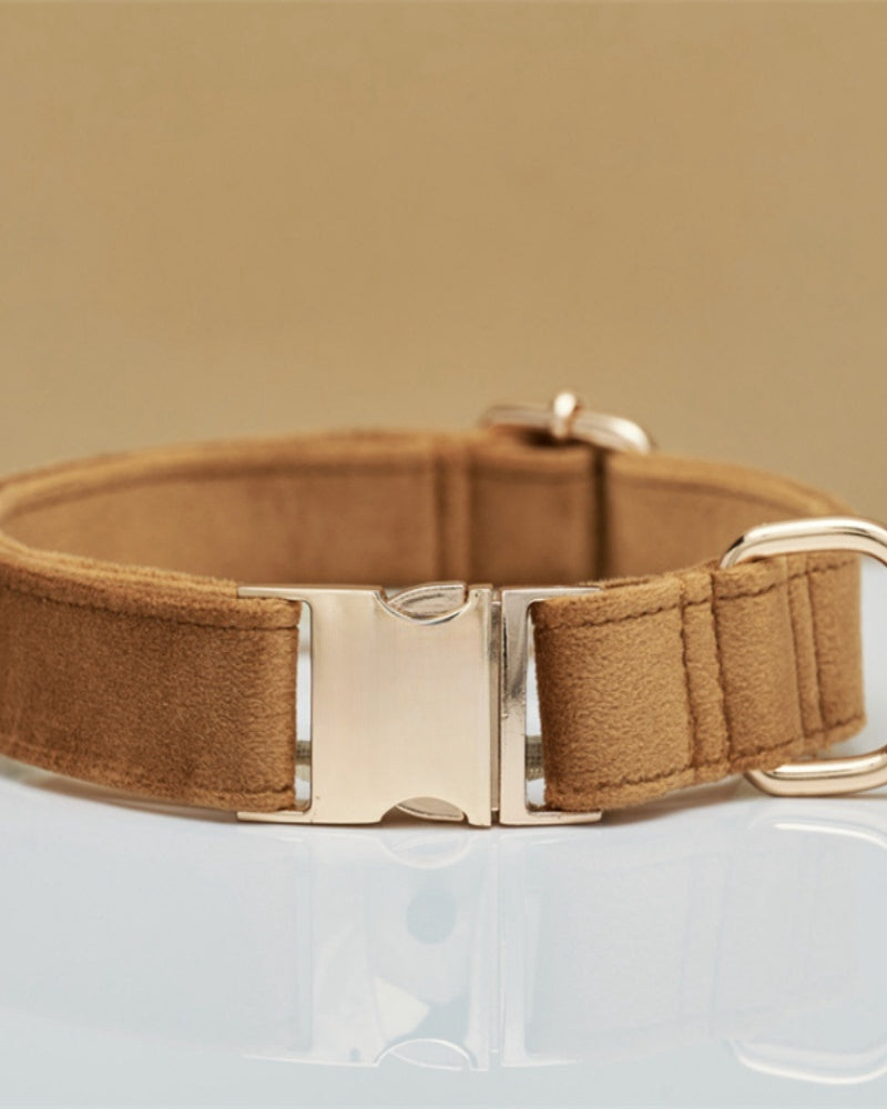 Brown dog collar with a gold buckle on a clear stand against a beige background