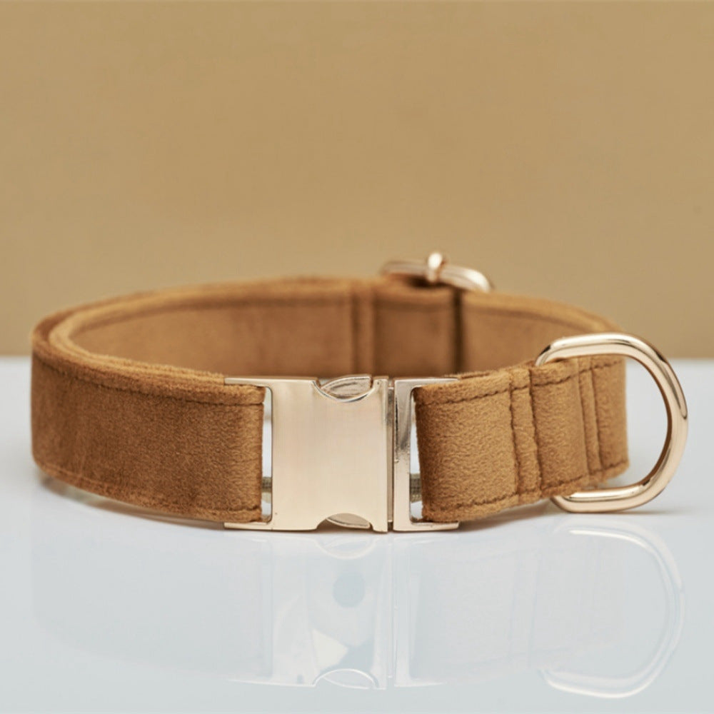 Brown dog collar with a gold buckle on a clear stand against a beige background