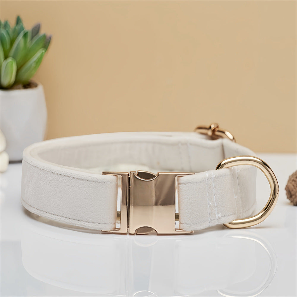 White dog collar with gold buckle on a neutral background