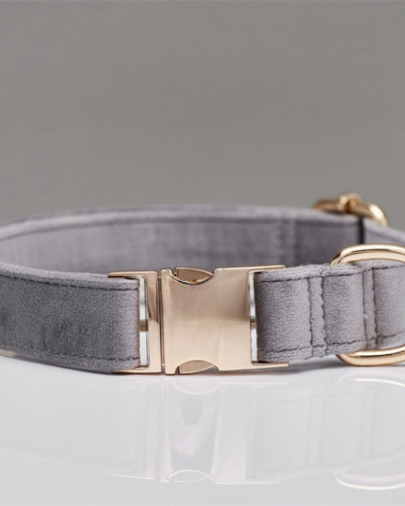 Gray dog collar with gold hardware on a light gray background