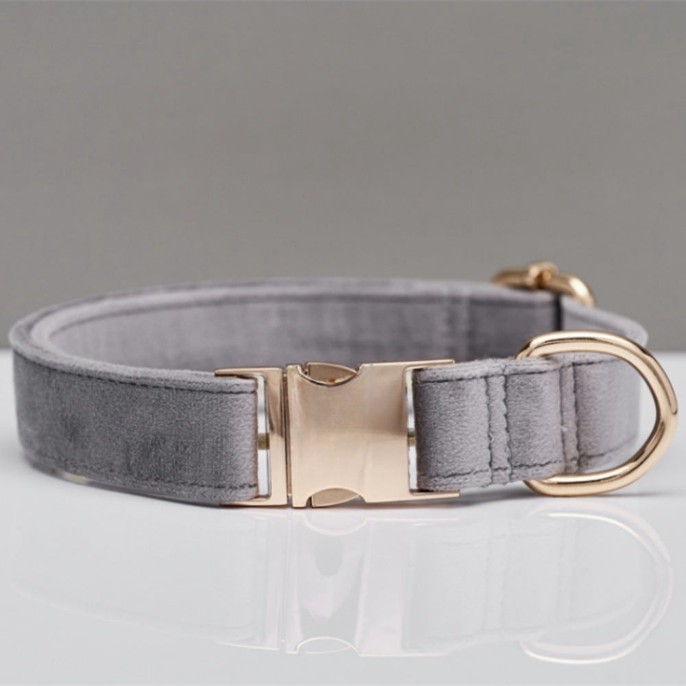 Gray dog collar with gold hardware on a light gray background