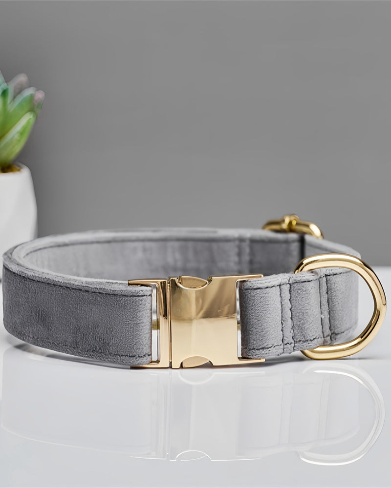Gray dog collar with gold buckle on a reflective surface with a gray background