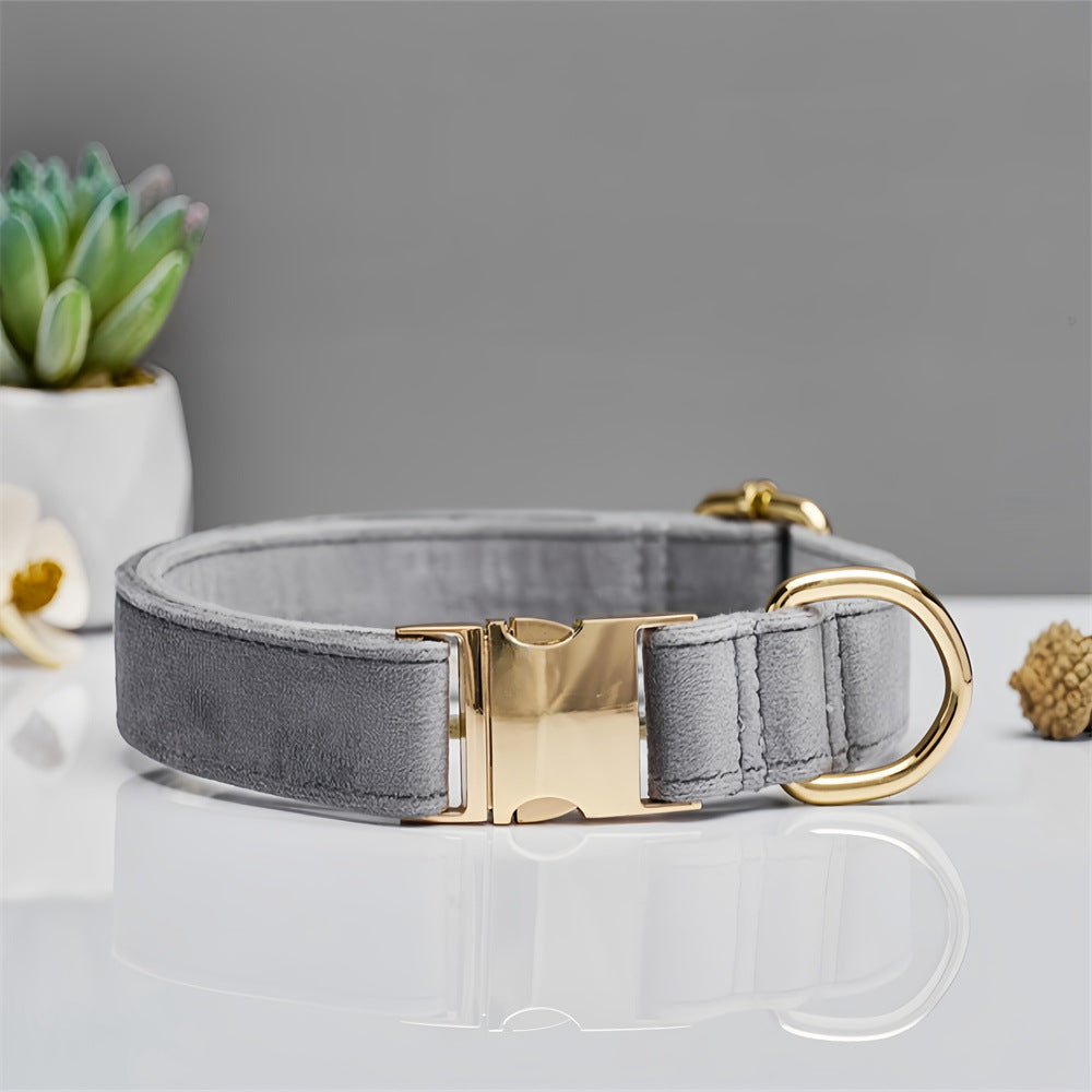 Gray dog collar with gold buckle on a reflective surface with a gray background