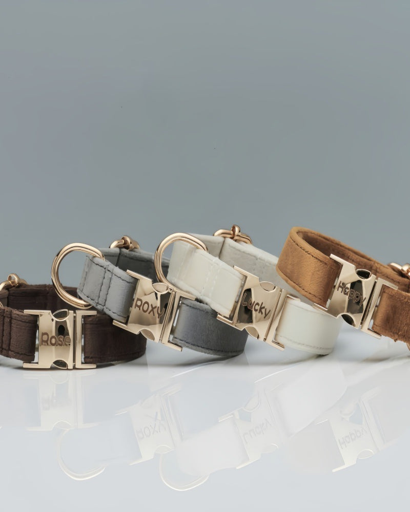 Set of dog collars in brown, gray, and white with gold hardware on a light gray background