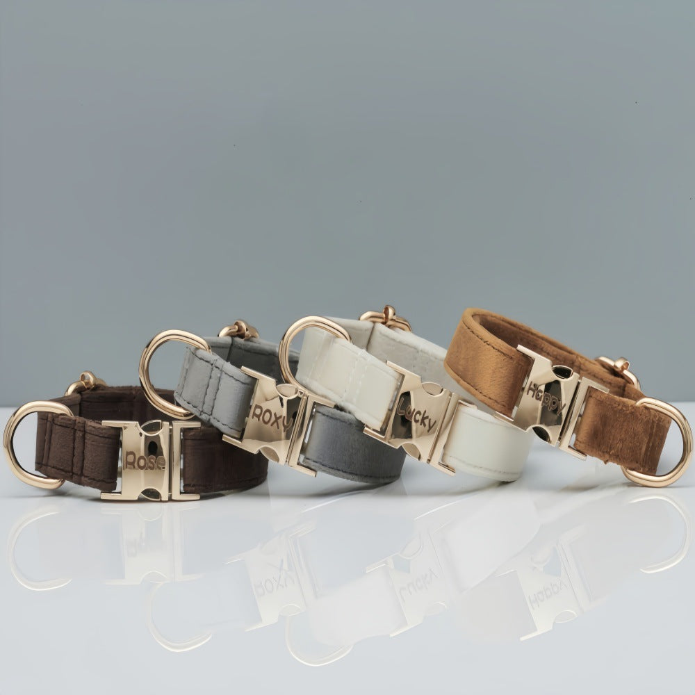 Set of dog collars in brown, gray, and white with gold hardware on a light gray background