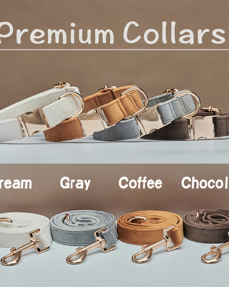 Collection of premium dog collars and leashes in cream, gray, coffee, and chocolate colors on a neutral background.