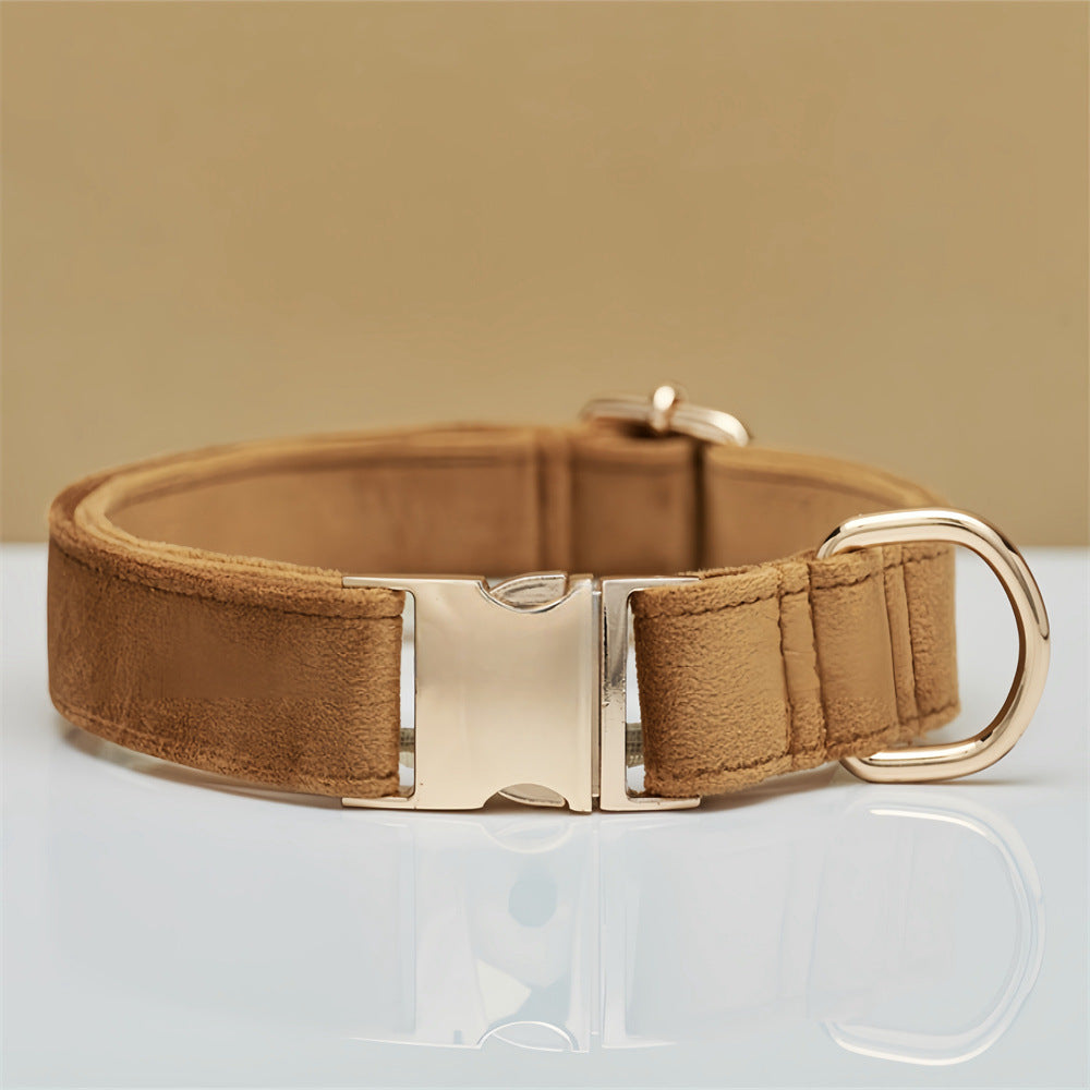 Brown dog collar with gold buckle on a clear background