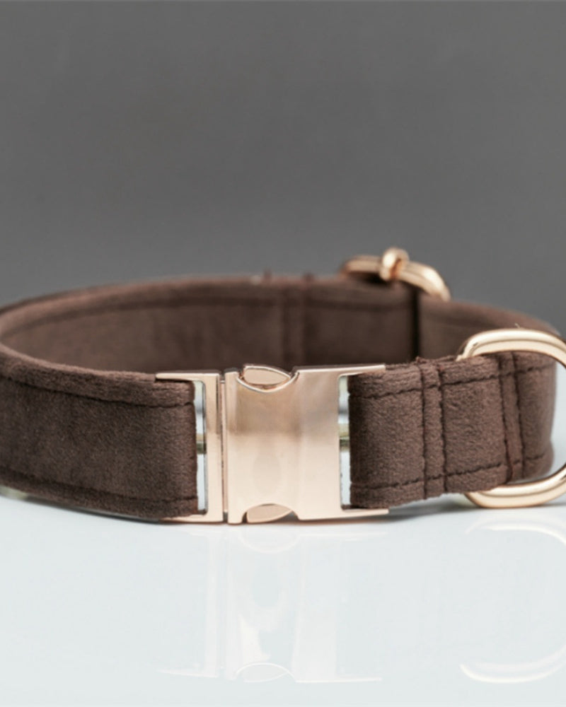 Brown dog collar with a rose gold buckle on a gray background
