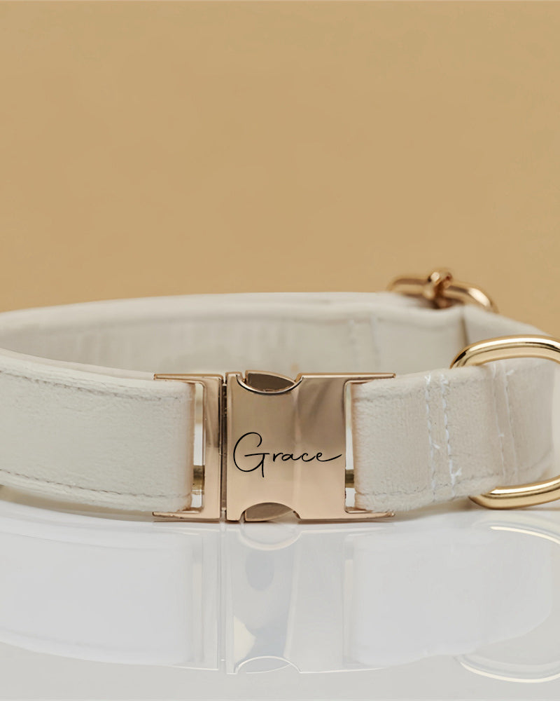 Dog collar with gold buckle and 'Grace' engraving on a beige background