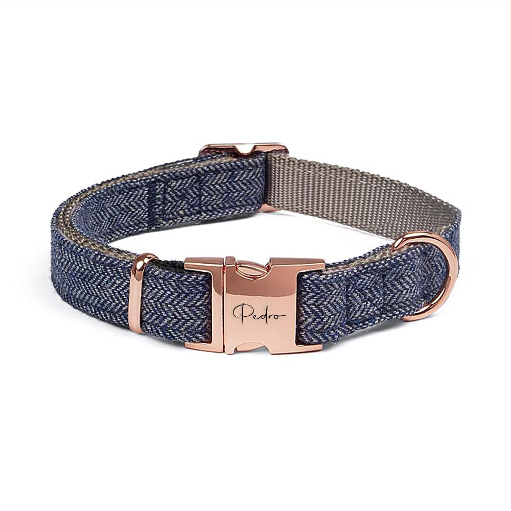 Dog collar with rose gold hardware and 'Pedro' branding on a white background