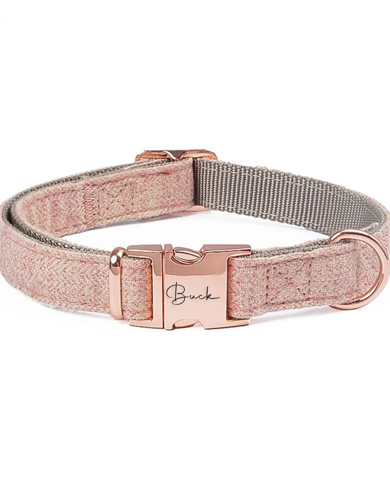 Dog collar with rose gold hardware on a white background