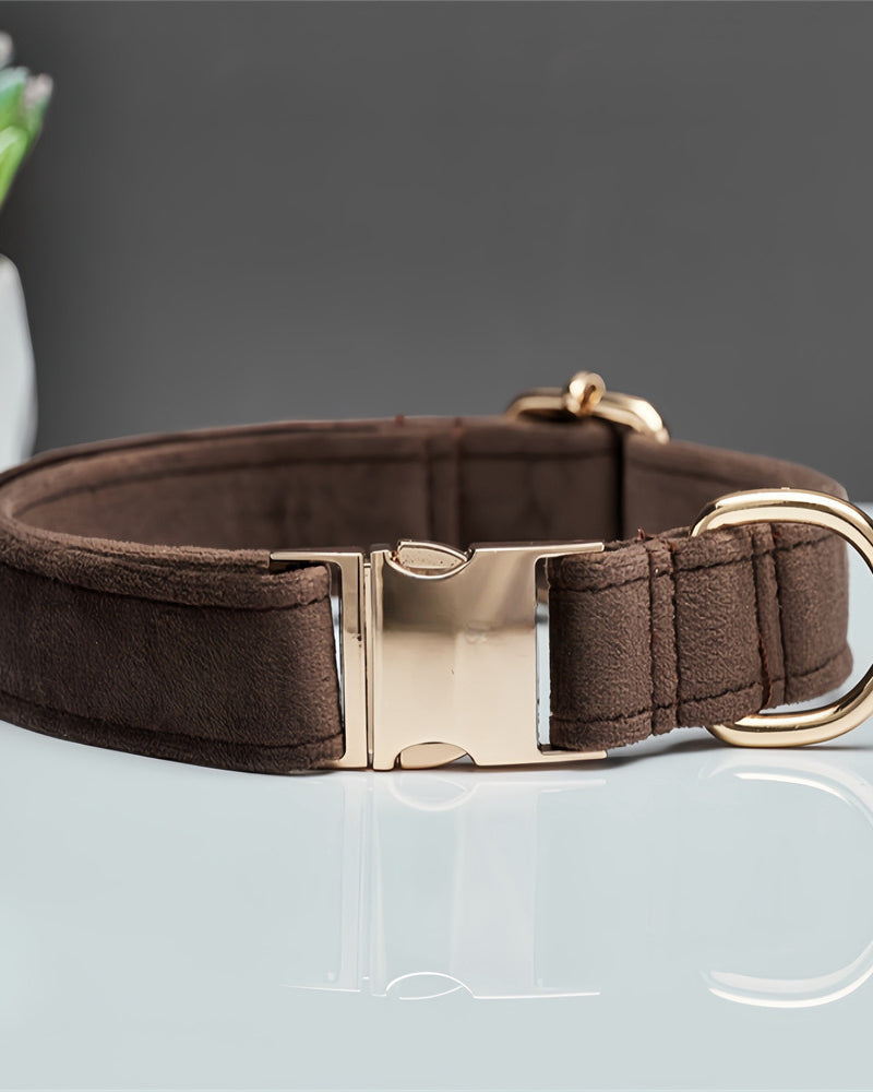 Brown dog collar with gold buckle on a reflective surface with a plant in the background
