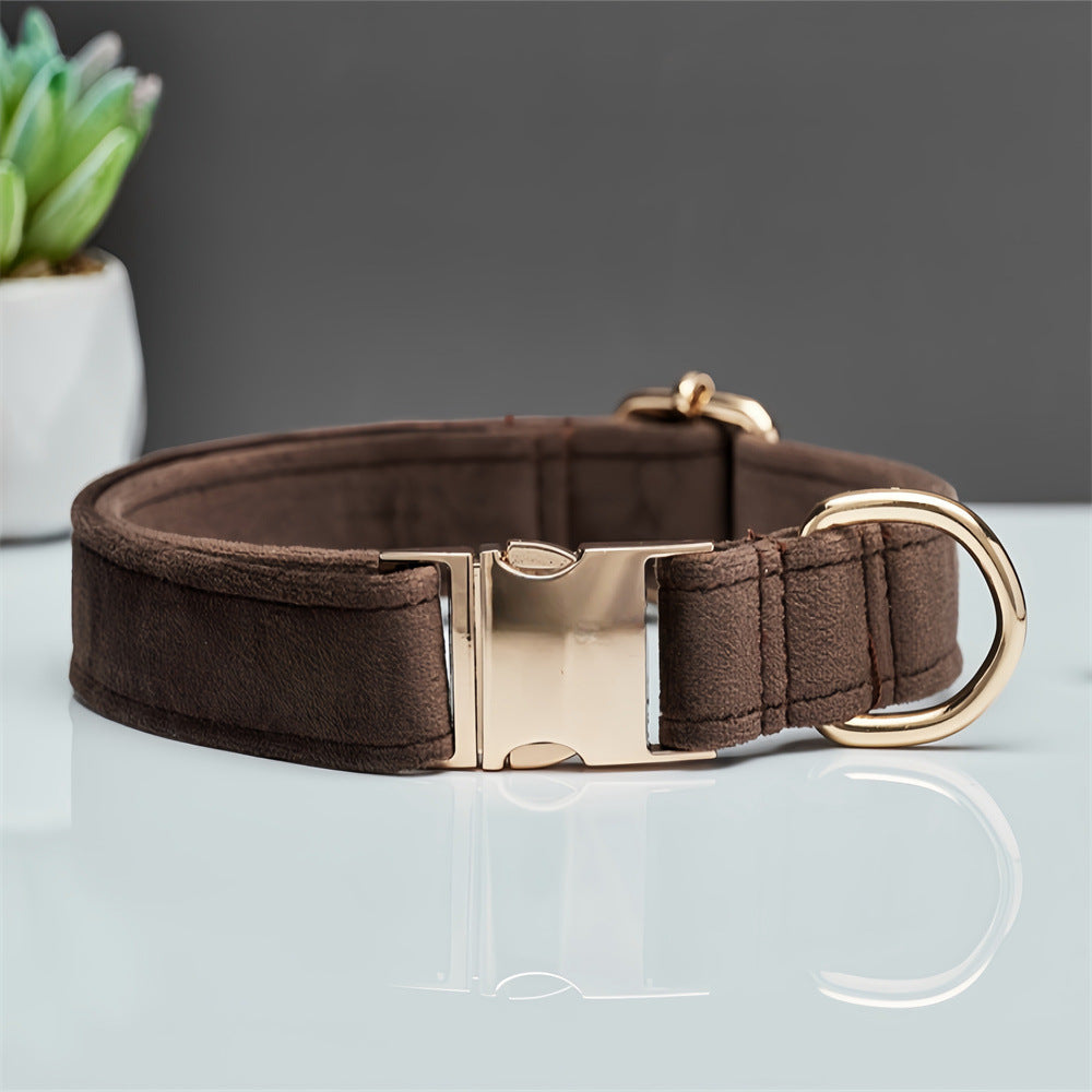 Brown dog collar with gold buckle on a reflective surface with a plant in the background