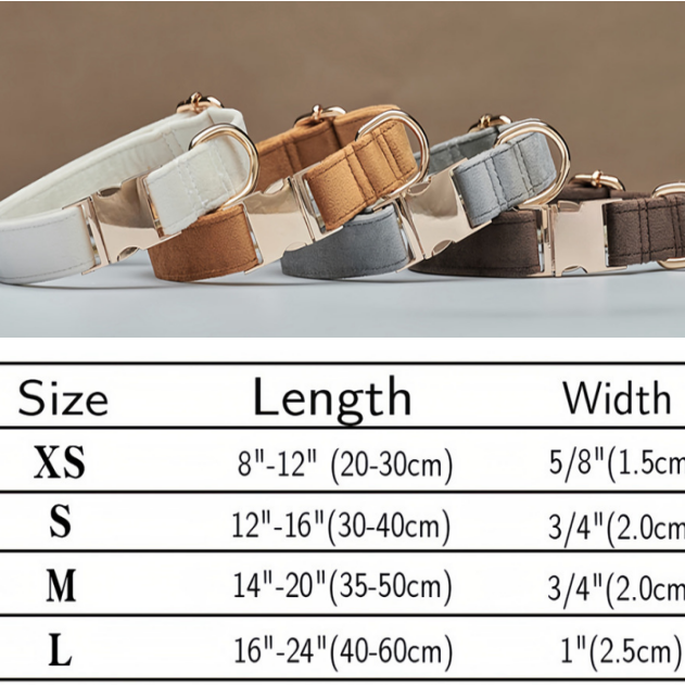 Set of dog collars in various colors with size chart on a gray background
