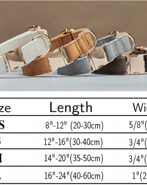 Set of dog collars in various colors with size chart on a gray background