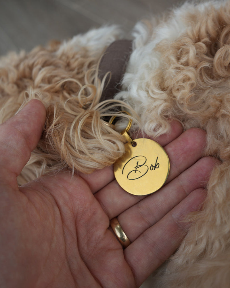 Gold pet tag with 'Bob' engraved on a hand, with a fluffy beige dog in the background.