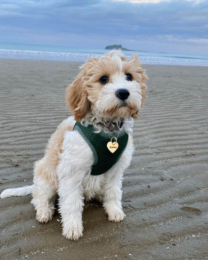 Gold Heart personalised Pet ID Tag