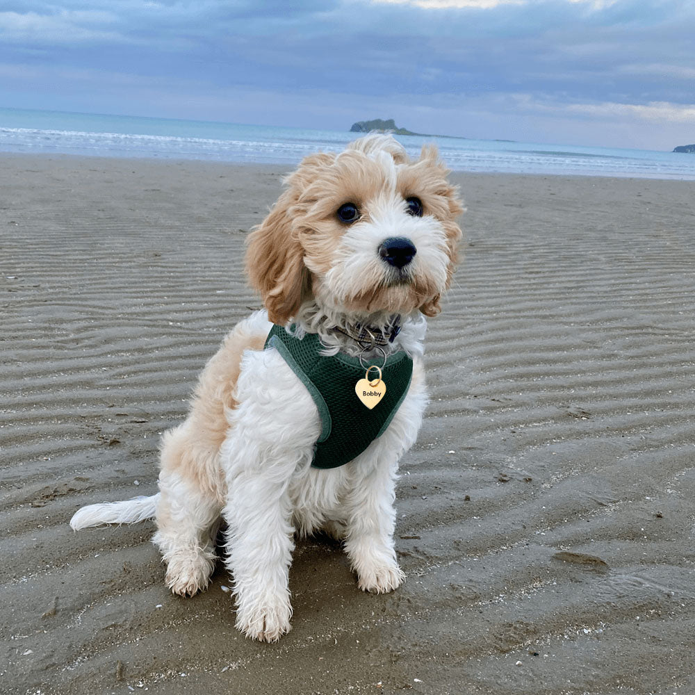 Gold Heart personalised Pet ID Tag