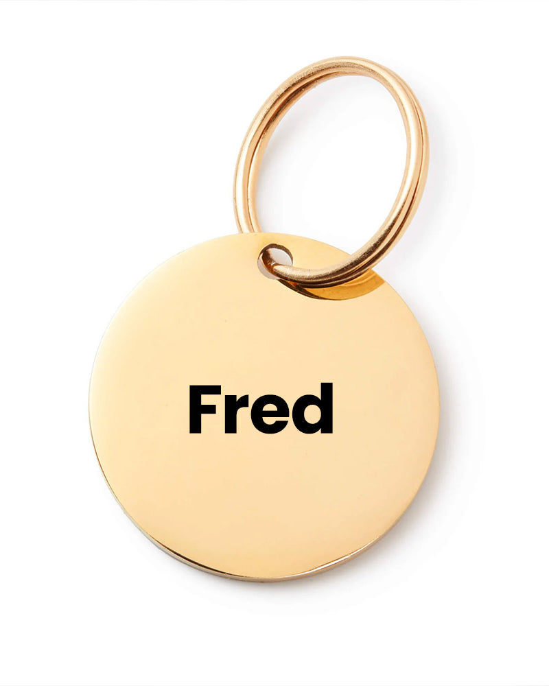 Gold pet tag with 'Fred' engraved on a white background