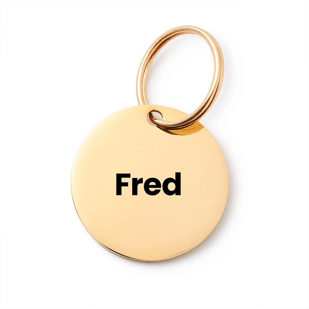 Gold pet tag with 'Fred' engraved on a white background