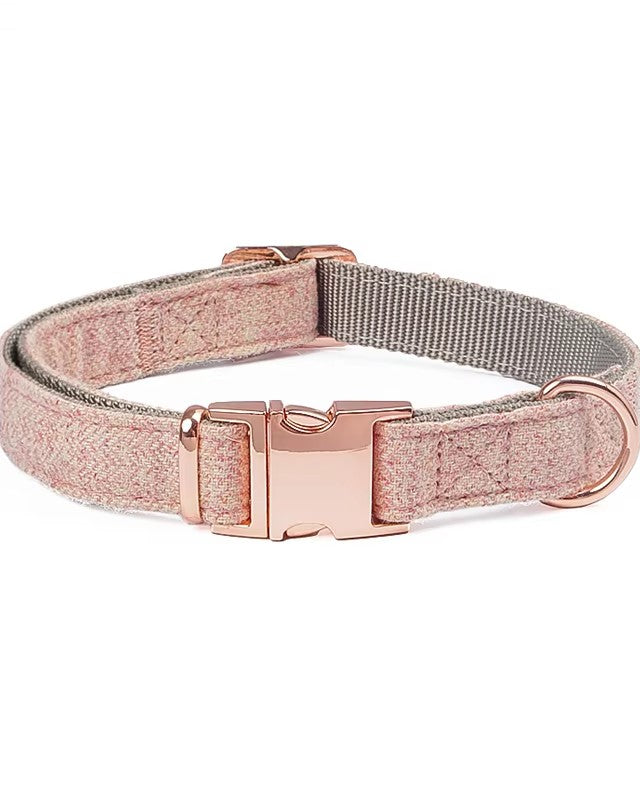 Dog collar with rose gold hardware on a white background