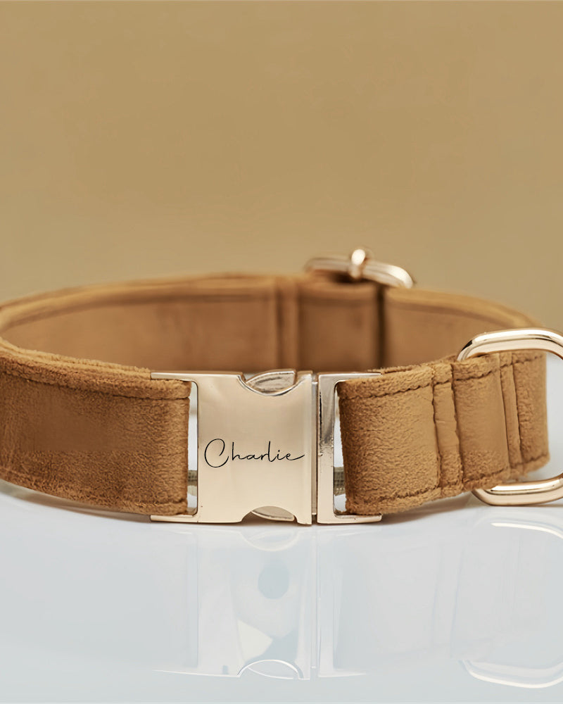 Brown dog collar with gold buckle on a clear stand against a beige background