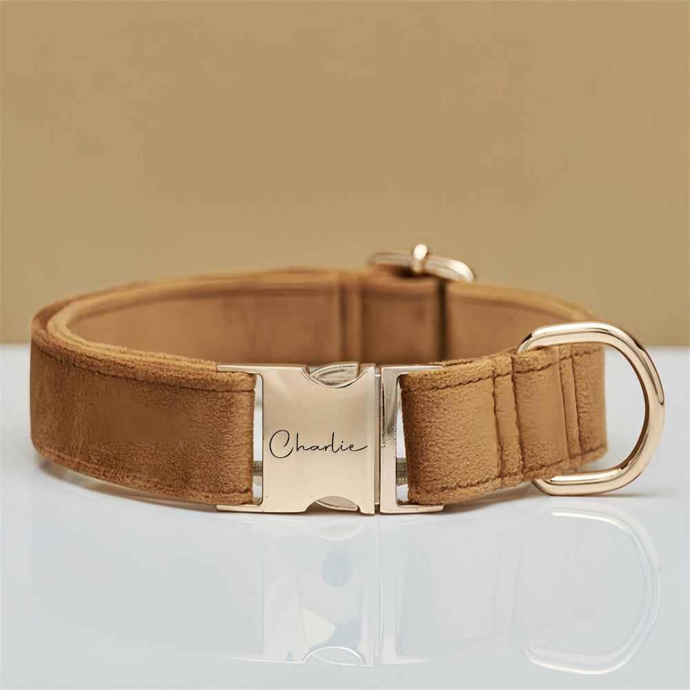 Brown dog collar with gold buckle on a clear stand against a beige background