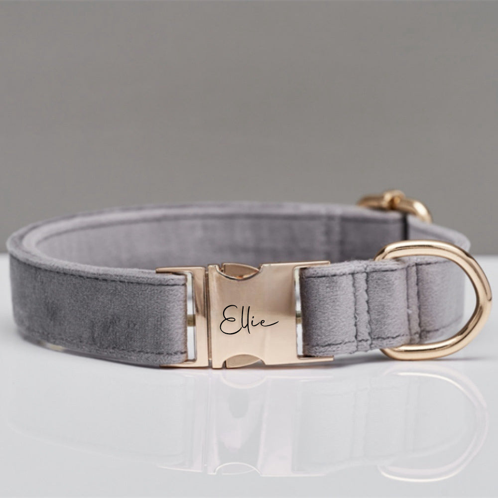 Gray dog collar with gold hardware on a light gray background