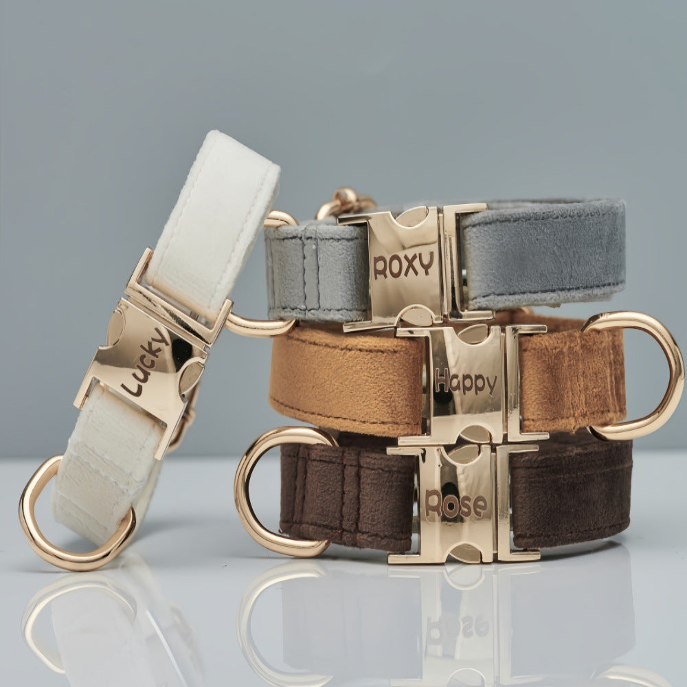 Dog collars with gold buckles on a reflective surface with a gray background