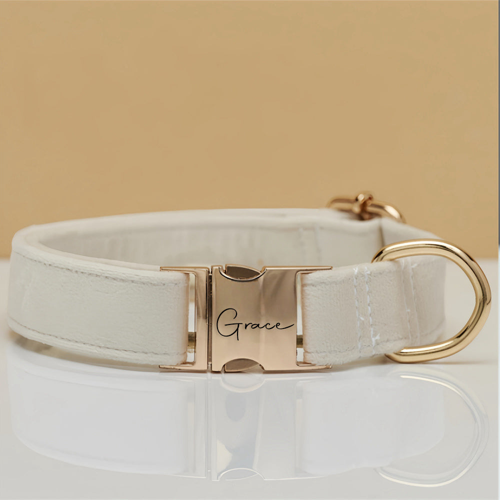 Dog collar with gold buckle and 'Grace' engraving on a beige background