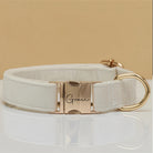 Dog collar with gold buckle and 'Grace' engraving on a beige background