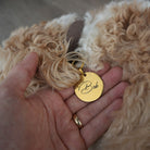 Gold pet tag with 'Bob' engraved on a hand, with a fluffy beige dog in the background.