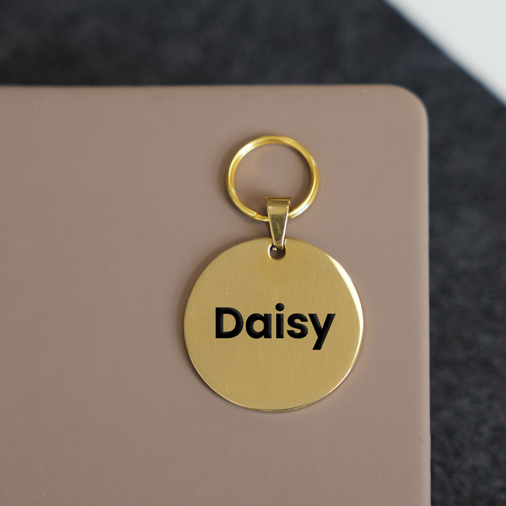 Gold round dog tag engraved with the name “Daisy” on a neutral surface
