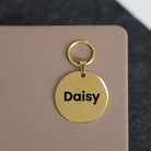 Gold round dog tag engraved with the name “Daisy” on a neutral surface
